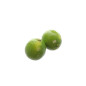 CITRON VERT / LIME 48PCS